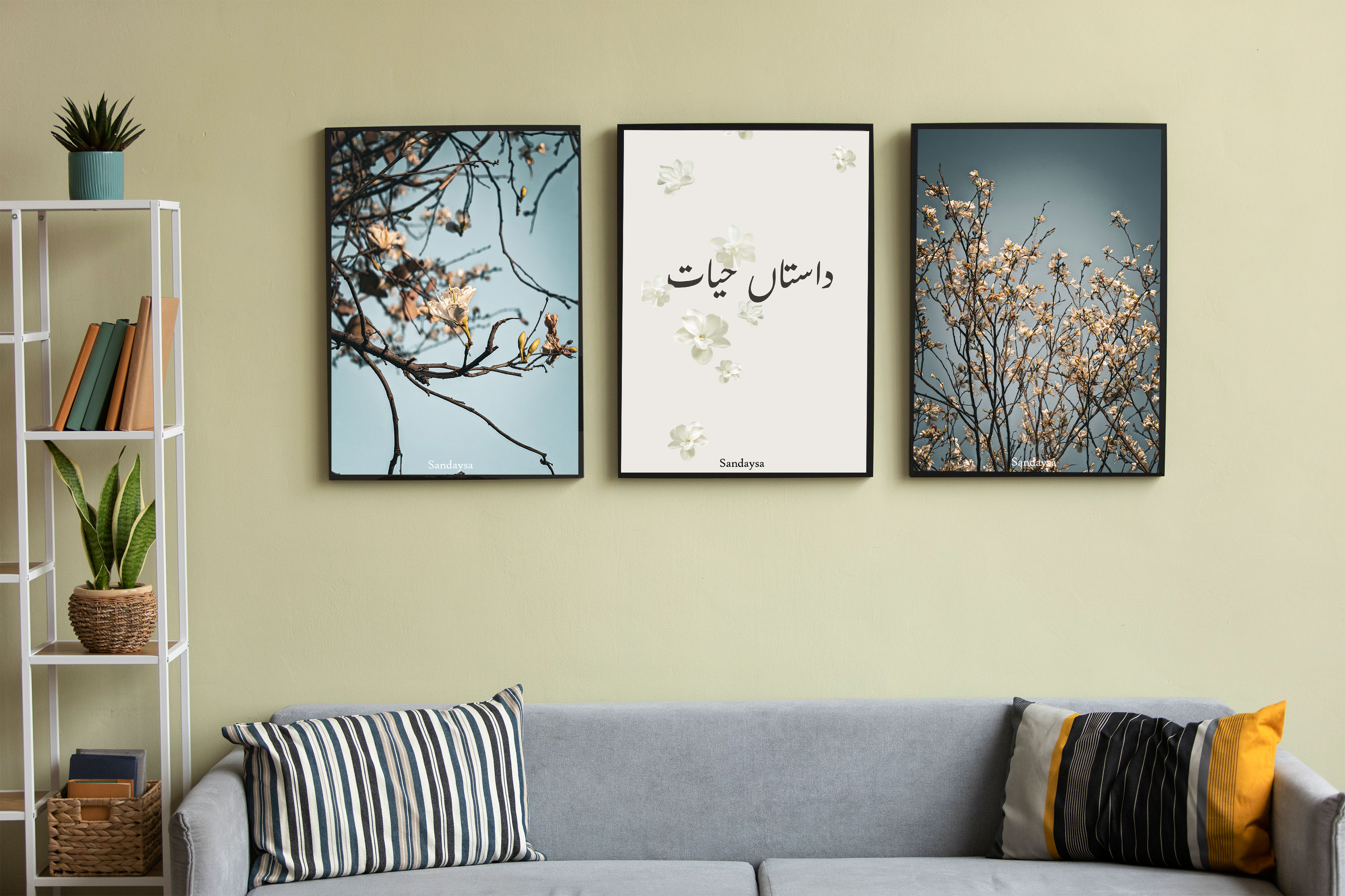 Product Images